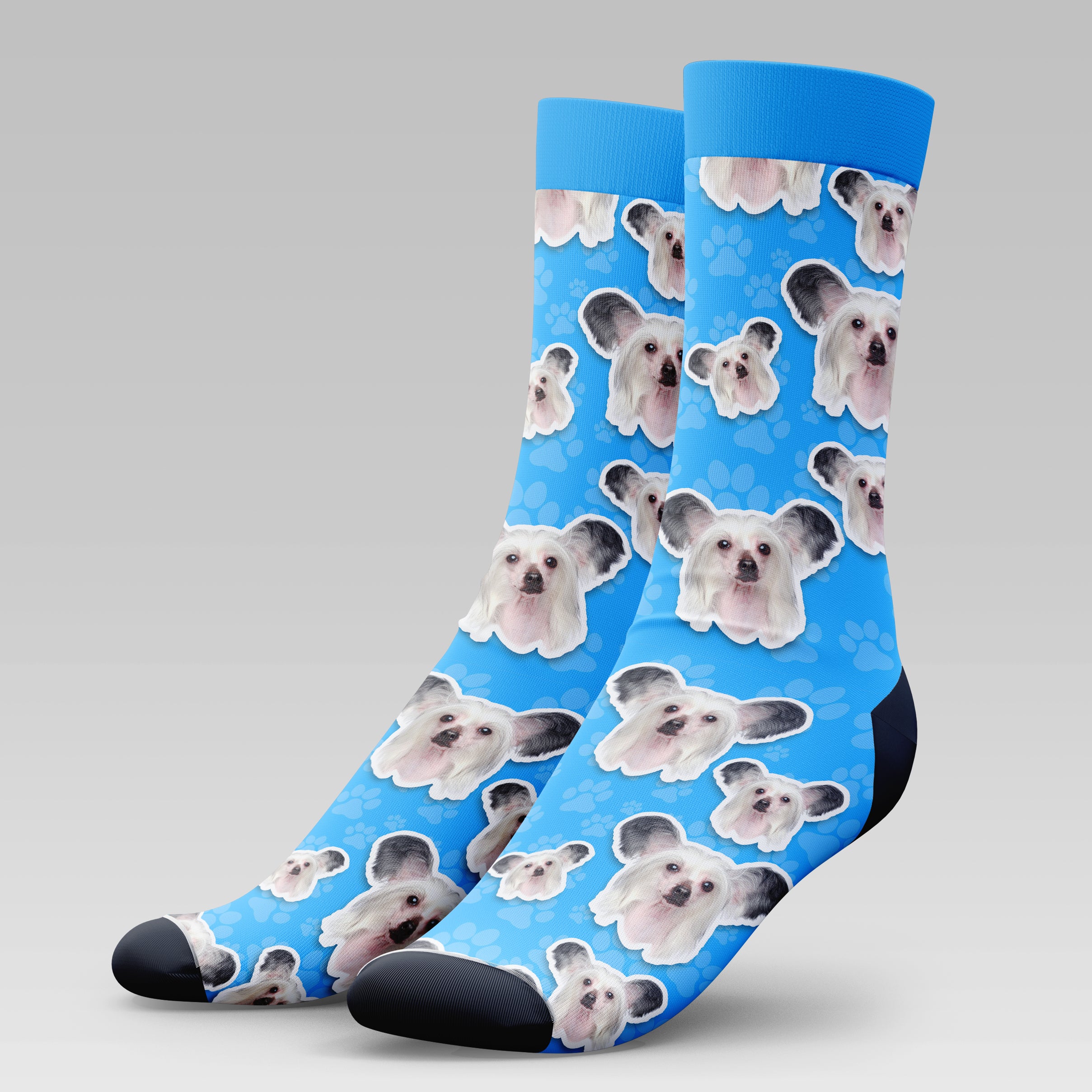 Chinese Crested Dog 2 | Socks