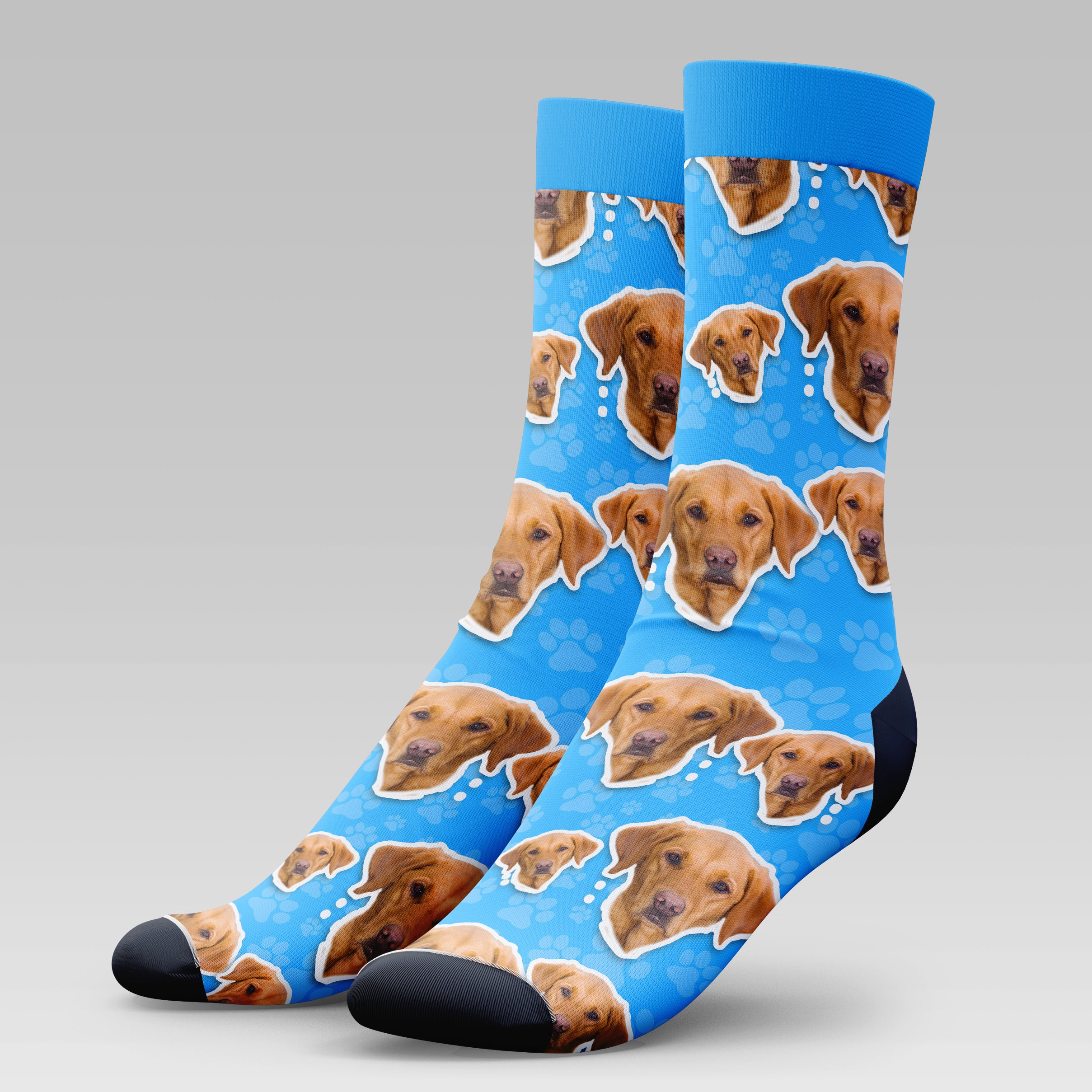 Fox Red Labrador Dog | Socks