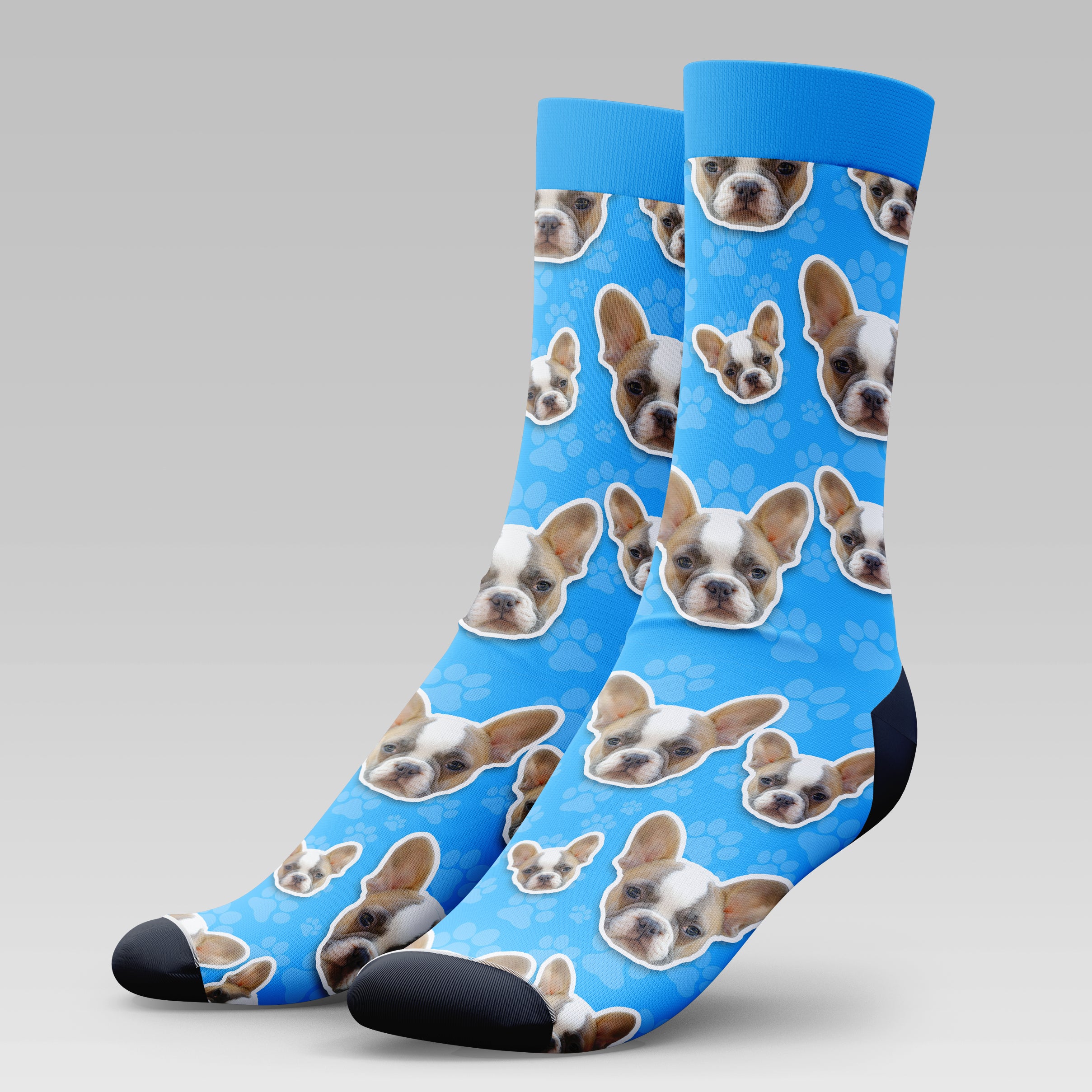 Frenchie Dog | Socks