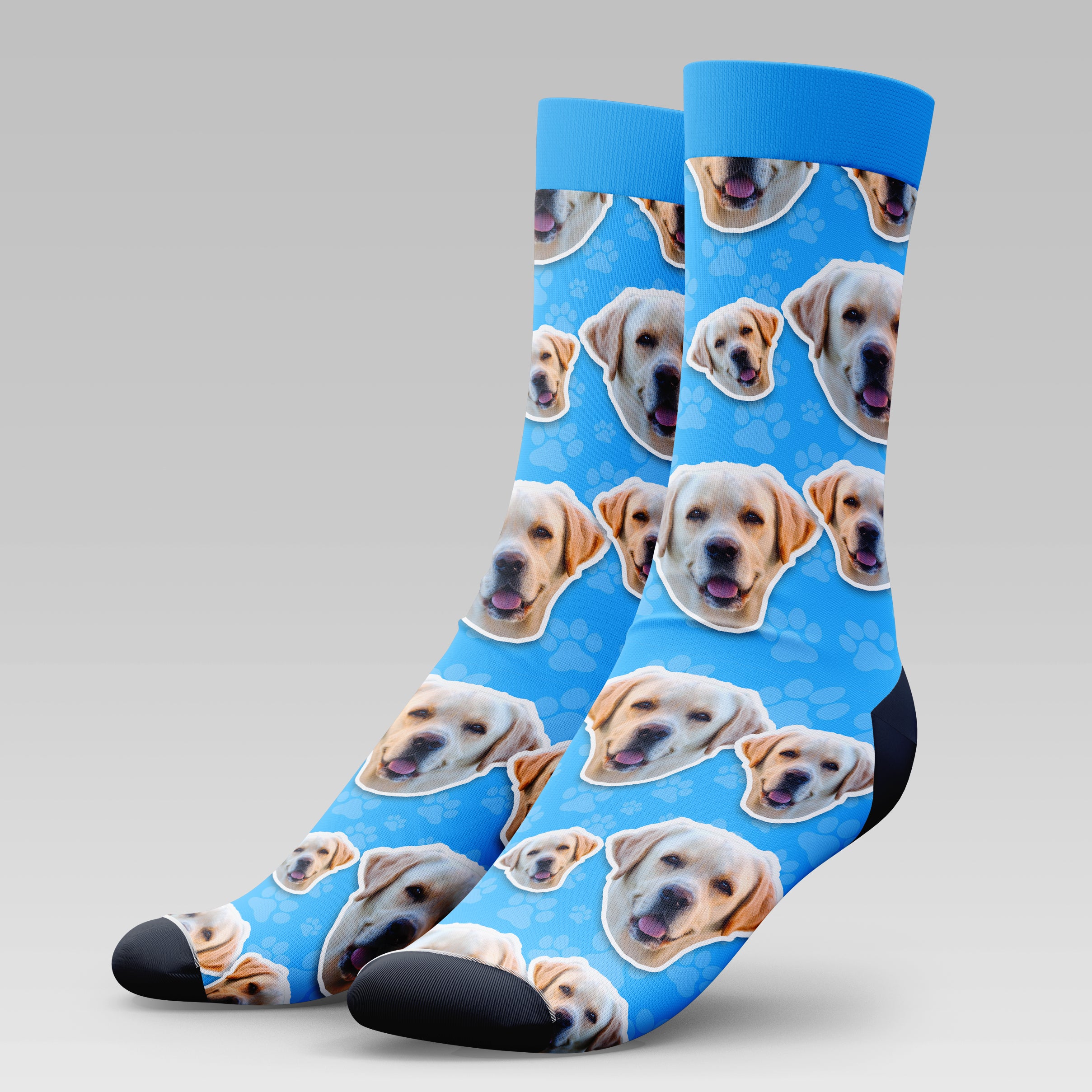 Golden Labrador Dog | Socks