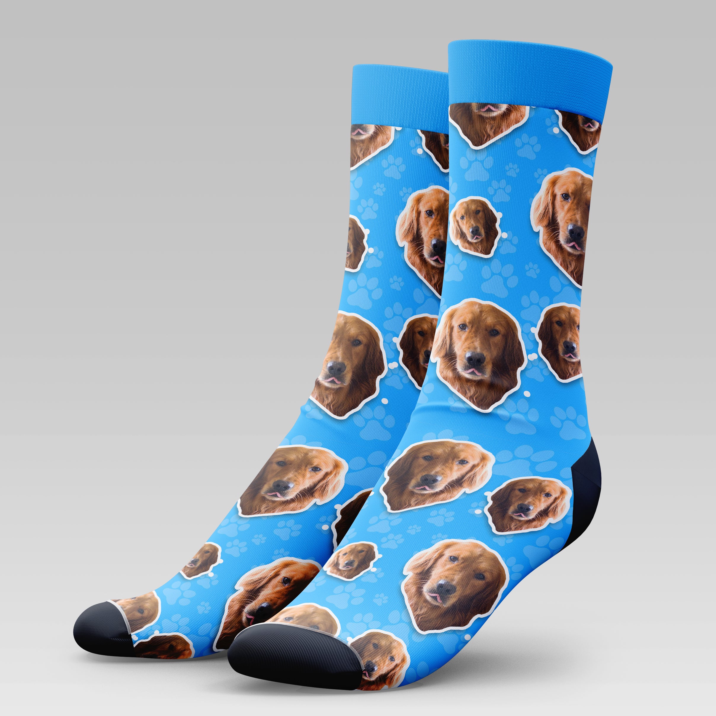 Golden Retriever Dog | Socks