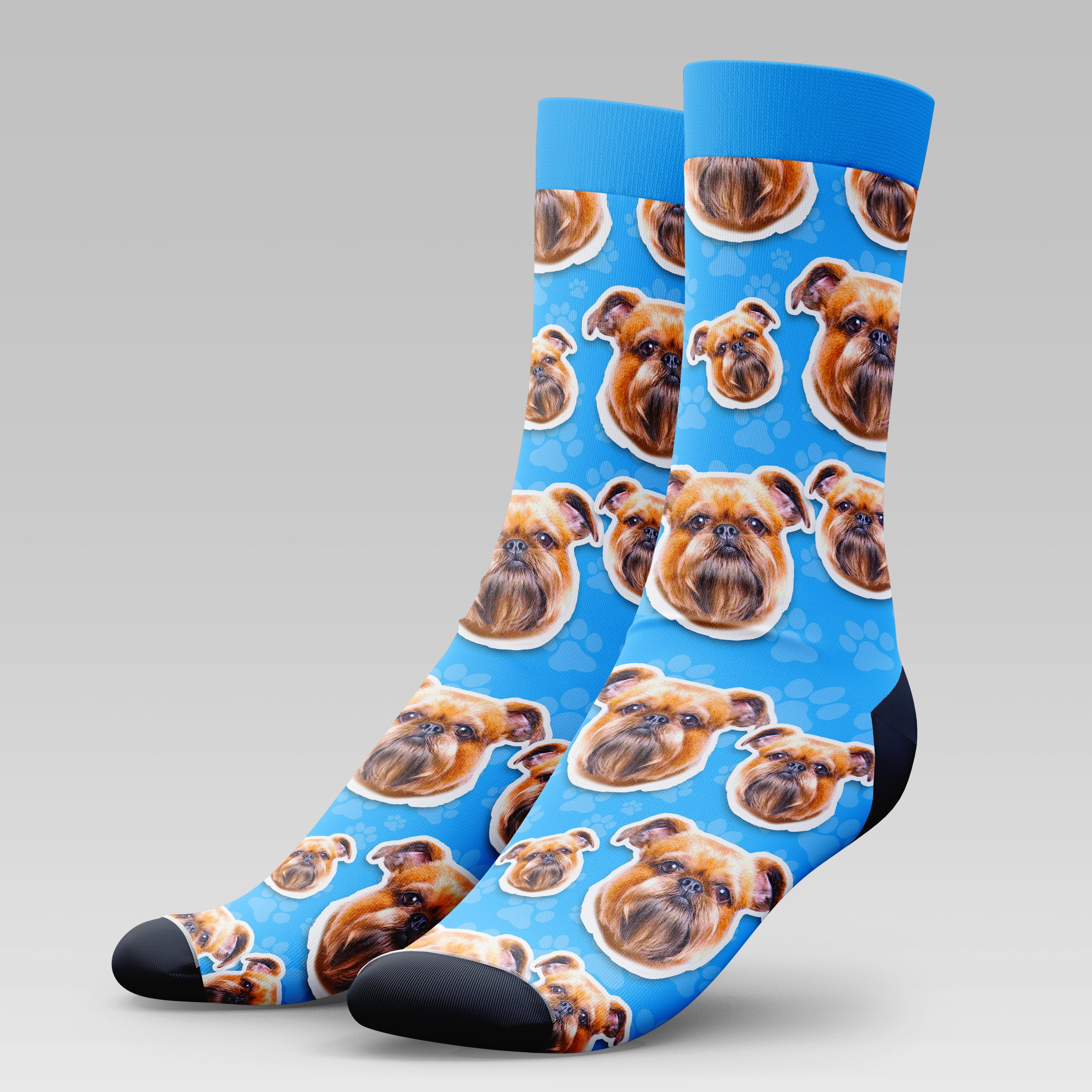 Griffon Dog | Socks