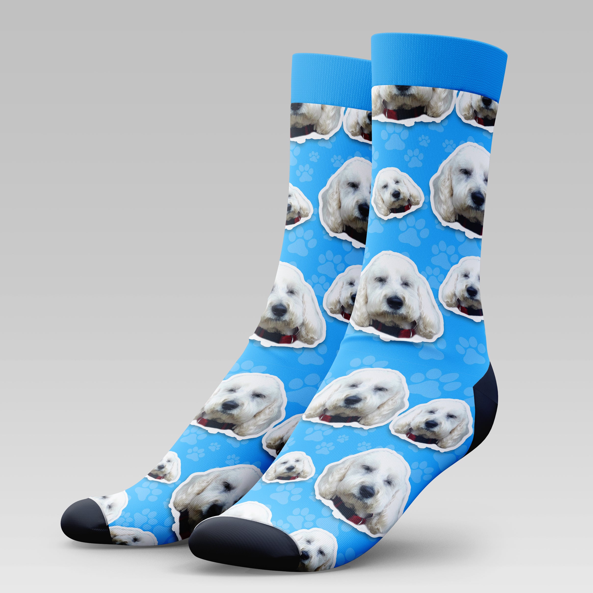 Groodle Dog | Socks