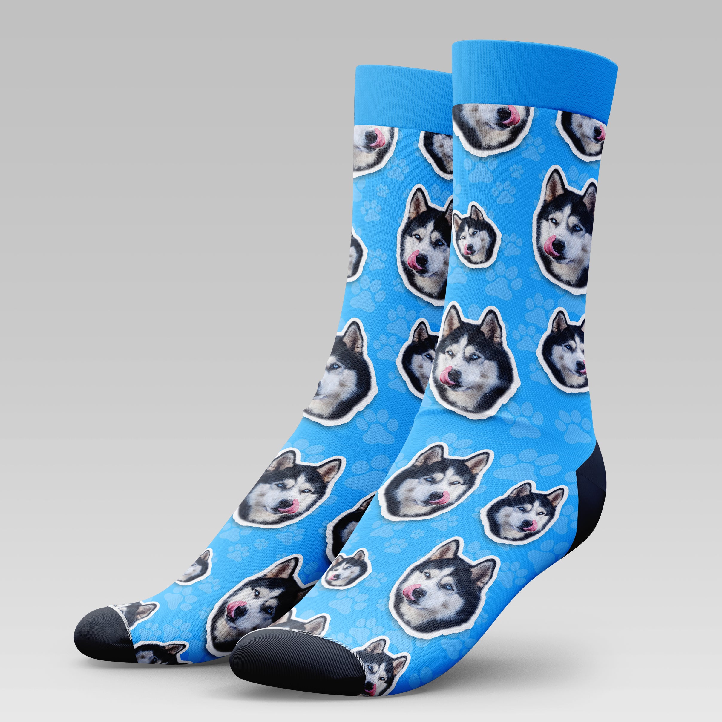 Husky Dog | Socks