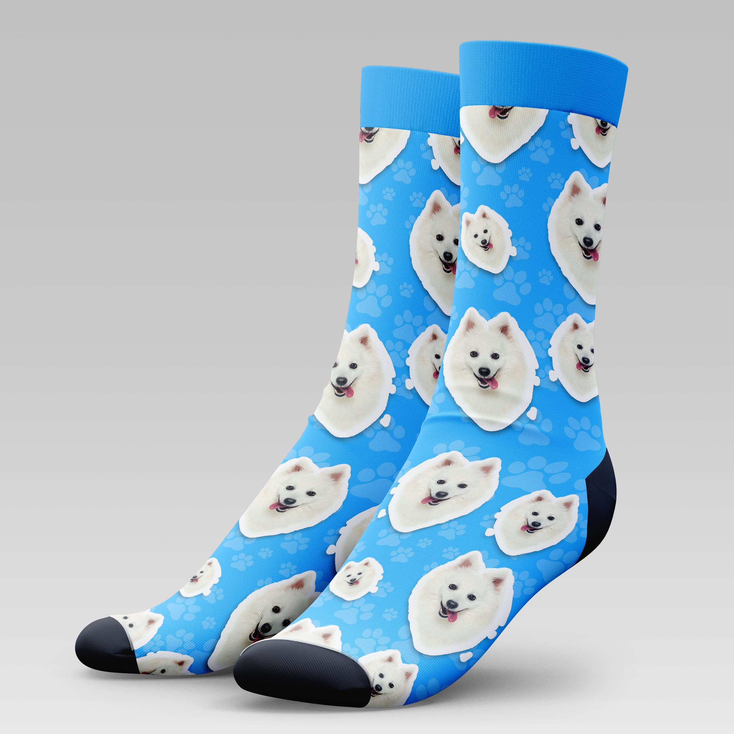 Japanese Spitz Dog | Socks