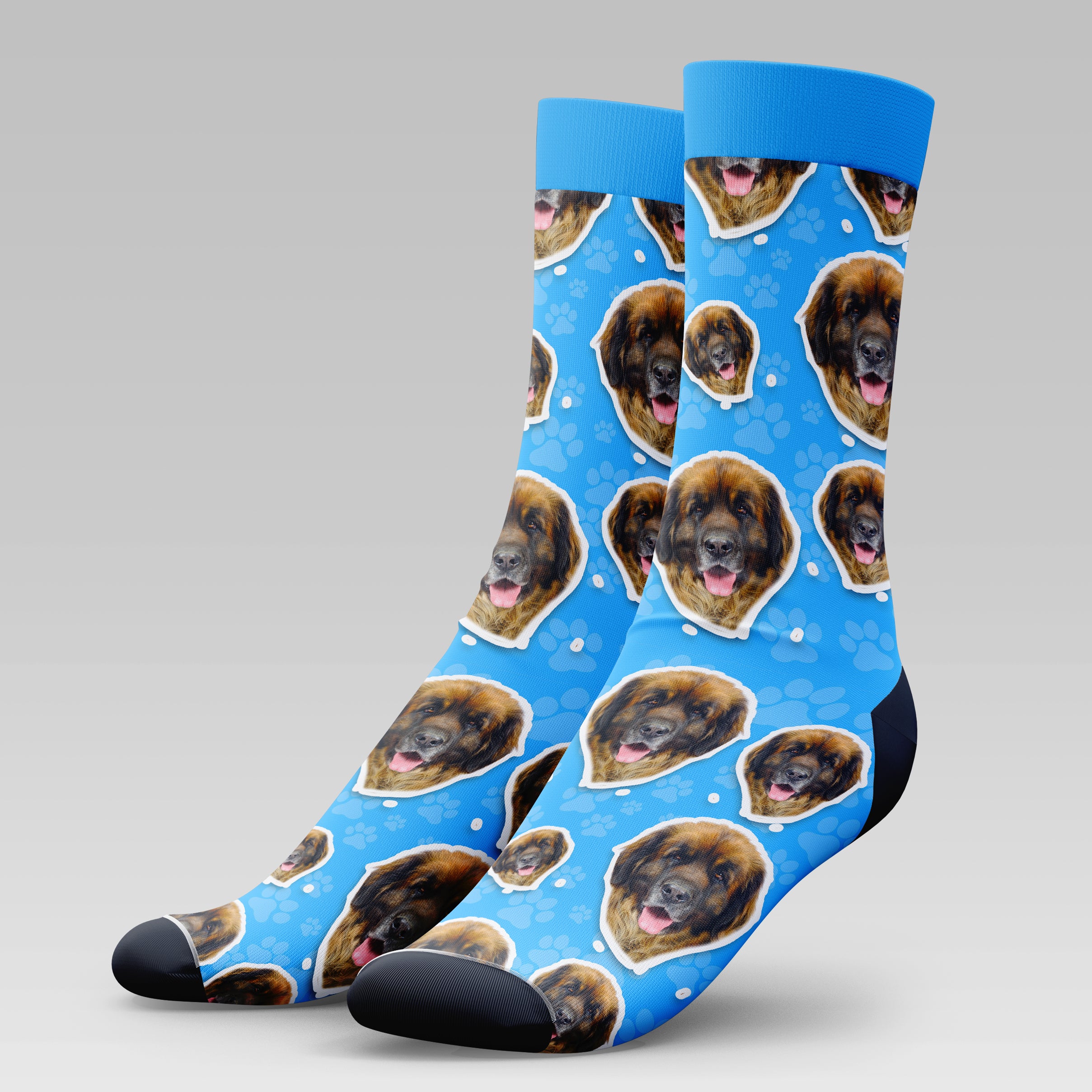 Leonberger Dog | Socks