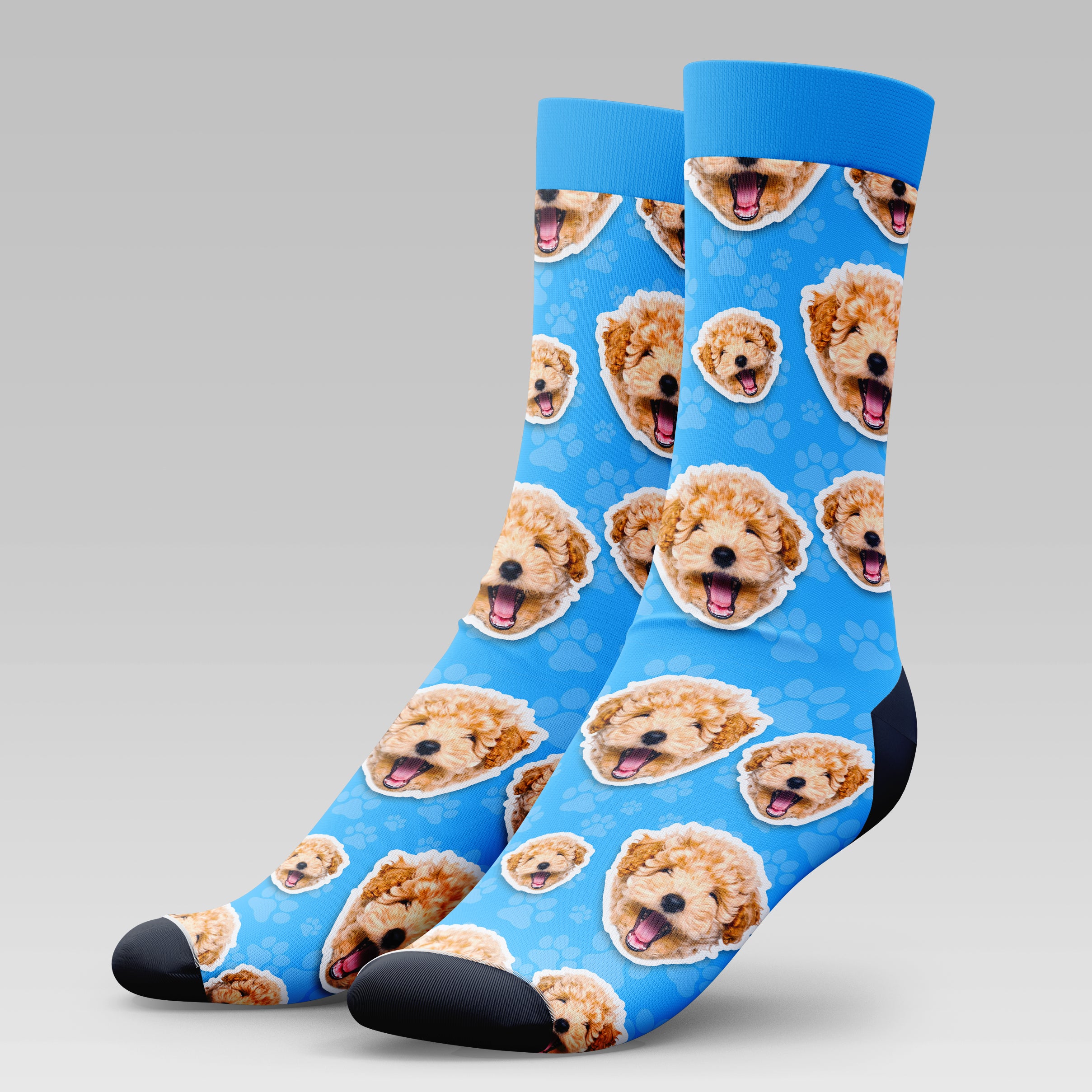 Poodle Dog | Socks