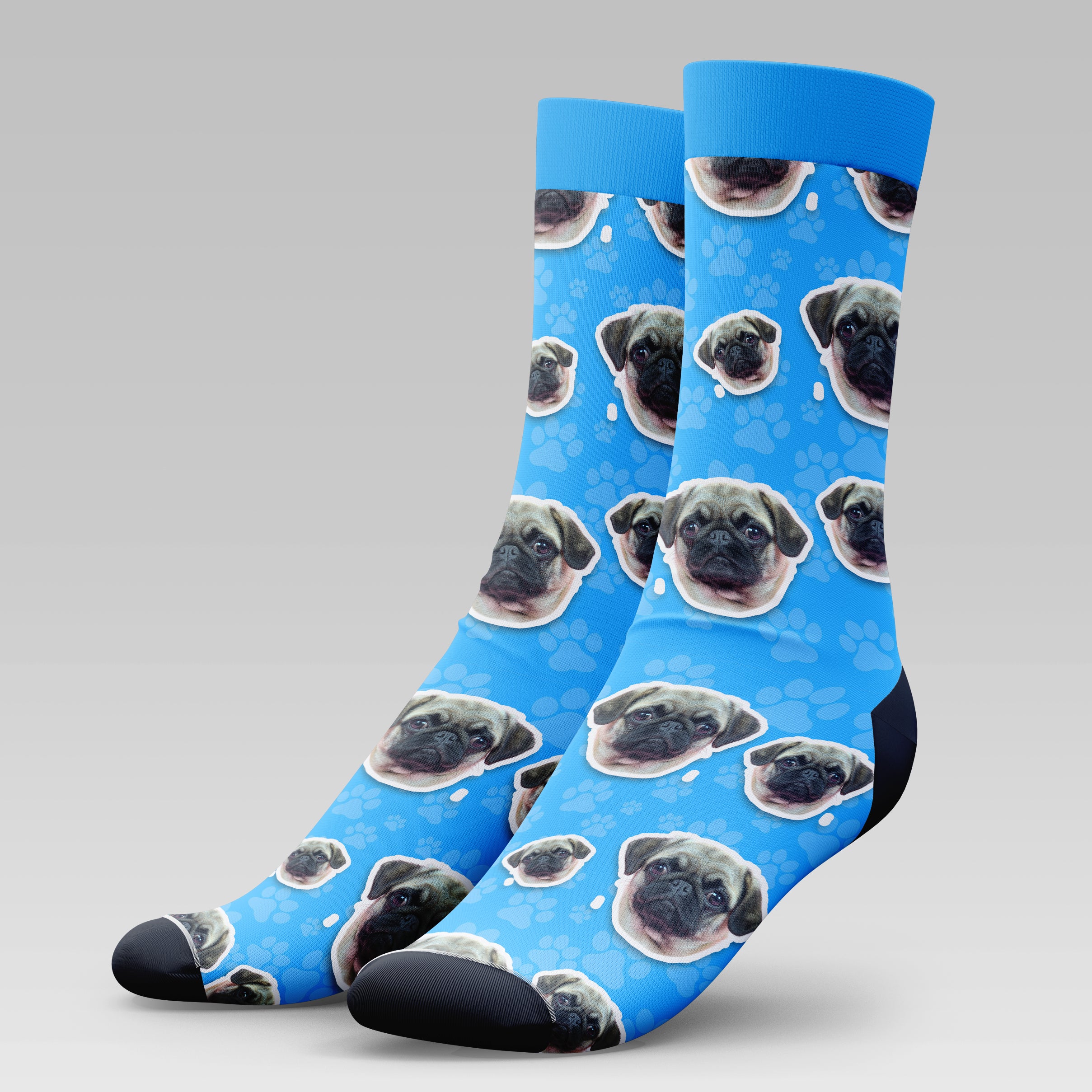 Pug Dog | Socks