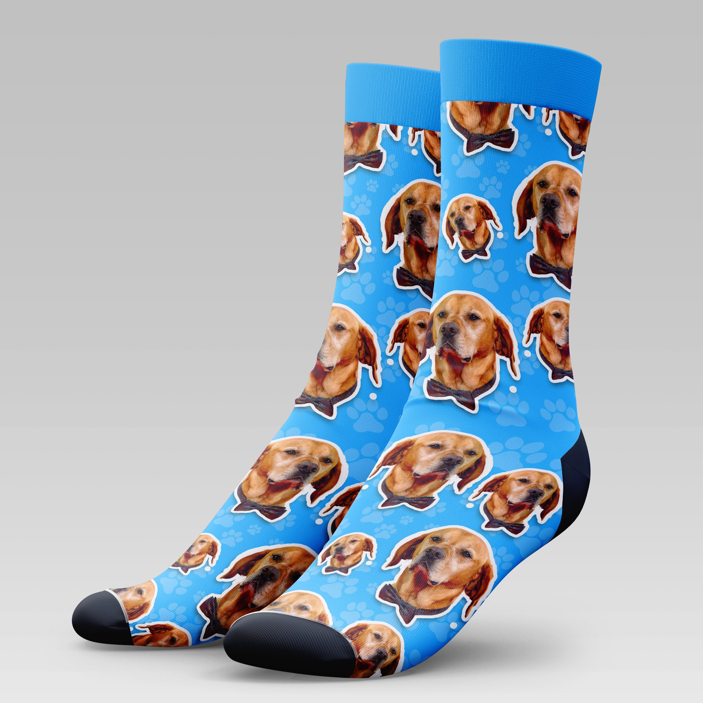 Red Labrador Dog | Socks