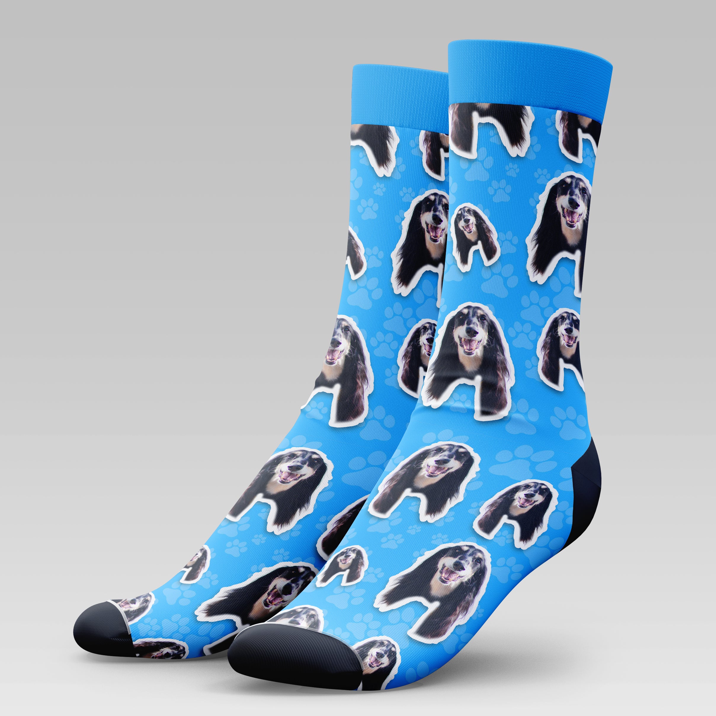 Saluki Dog | Socks