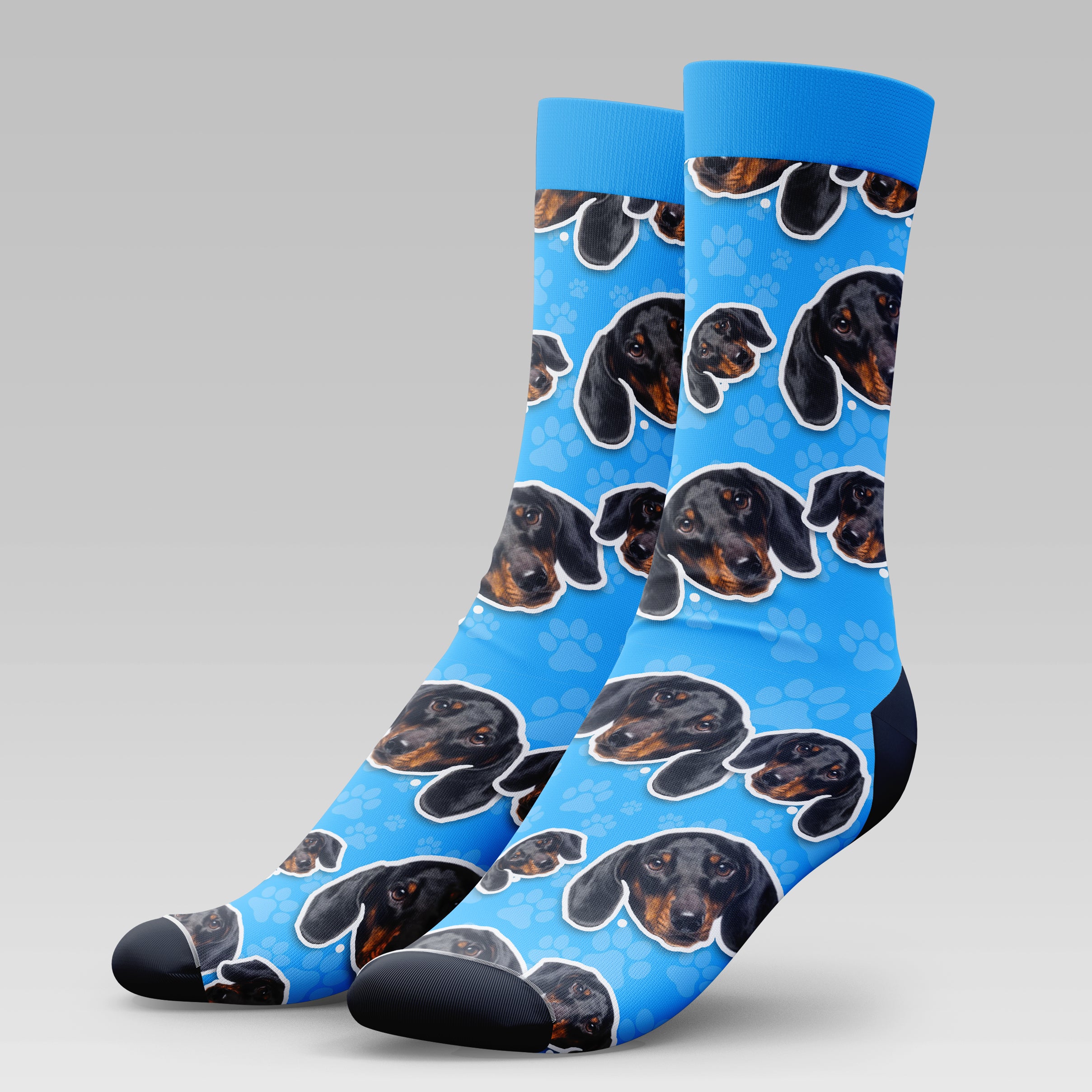 Sausage Dog | Socks