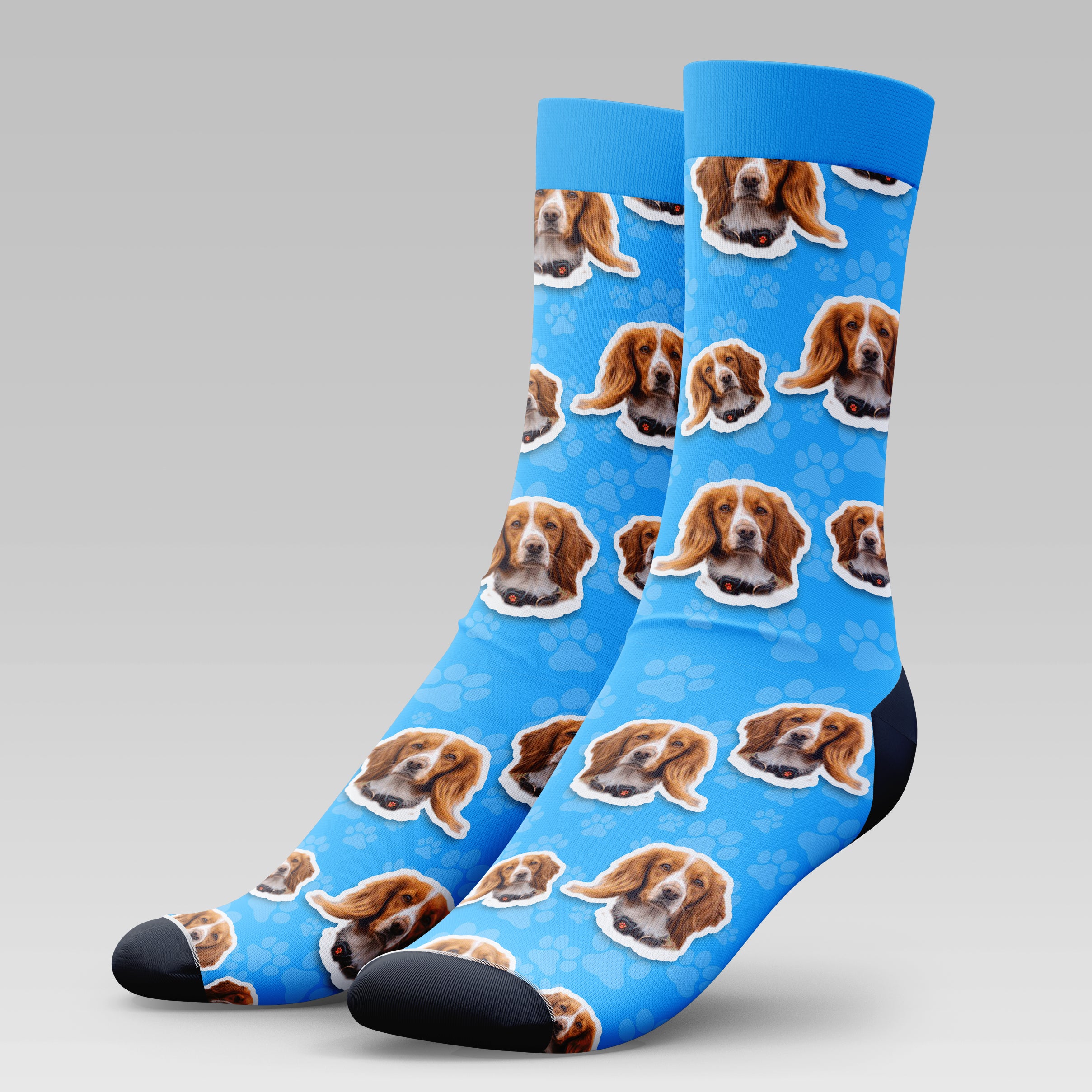 Sproker Dog | Socks